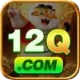 12q Official v5.0.6
